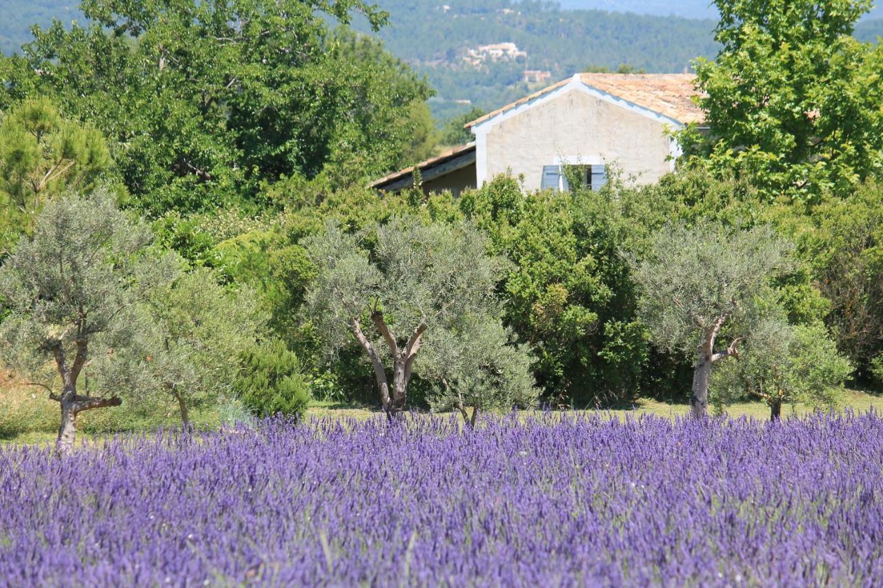 Le Mas Les Eydins Bonnieux Bagian luar foto